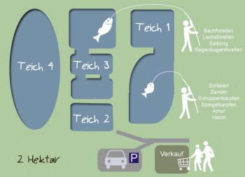 Teichanlage